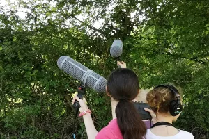 Audio-naturaliste en herbe