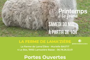 Ferme de lama'zière - Printemps à la ferme - BAF