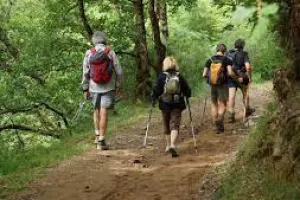 Randonnée accompagnée