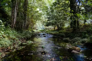 Atelier découverte "La petite faune aquatique de la Bave"