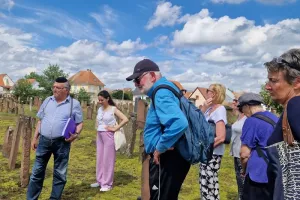 Le cimetière israélite et la mémoire juive de Haguenau