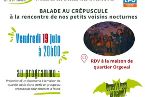 Balade au crépuscule