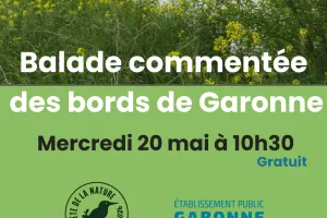 Balade commentée des bords de Garonne
