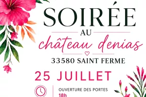 Soirée au Château Denias