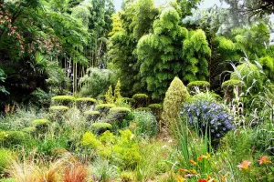 Rendez-vous aux jardins | Plan Buisson