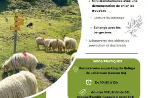 Vis ma vie de berger au coeur des Pyrénées