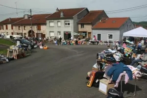 vide grenier et bourse aux plantes