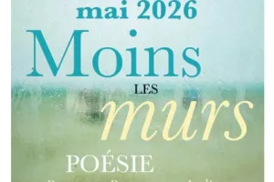 Festival Moins les Murs