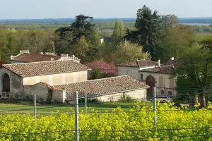 Château L'Escarderie - "Un dimanche au Château en Fronsadais-Libournais"