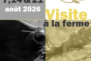 Visite à la ferme