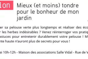 Mieux (et moins) tondre pour le bonheur de mon jardin !