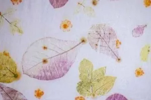 Découvre la technique de tataki zomé