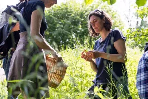 Sortie découverte des plantes sauvages
