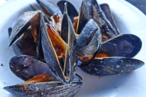 Fête de la moule