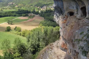 Entre falaises, bois, et pelouses : un aperçu de la flore du Périgord noir