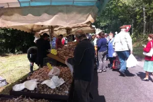 Foire de Roches