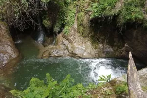 Sortie découverte de la biodiversité des canyons aux Ecouges