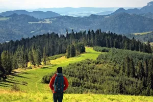 Randonnée découverte de la Réserve Naturelle Nationale d'Arjuzanx
