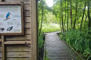 Balade sensorielle du marais de la vallée de l’Aure