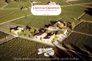 Balade Sensorielle Vigneronne