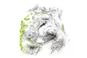Dessin, Mathilde Wolff & photographie, Jérôme Pérez - art contemporain