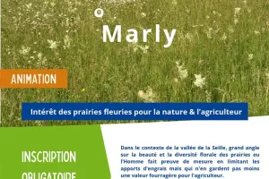 Sortie nature : Intérêt des praires fleuries pour la nature & l'agriculture