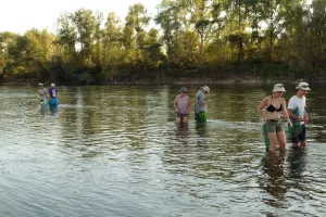 Pêche en bateau de Loire