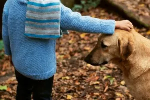 Atelier - rencontre : les bons gestes avec un chien