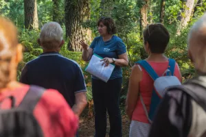 Randonnée commentée «Histoires de bois et de forêt»
