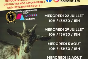 Visite guidée exploitation familiale : La ferme des Domoiselles