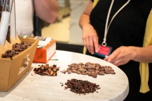 Visite guidée : Chocolat gourmand