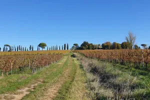 Malagar autrement - Entre les vignes, Mauriac et Toulouse-Lautrec