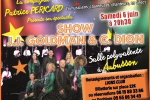 SHOW JJ. Goldman et C. Dion
