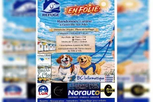 Randonnées canines
