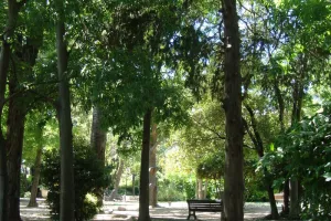 Visite : le végétal en ville
