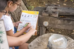LES AVENTURIERS EN HERBE (8/12 ans)