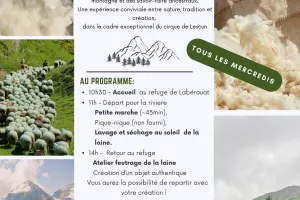 Au fil de la laine: Atelier estival