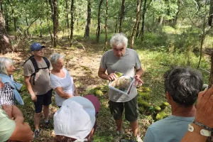 Les découvertes de Monta : Les secrets de la forêt médocaine