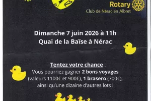 Albret Duck Race