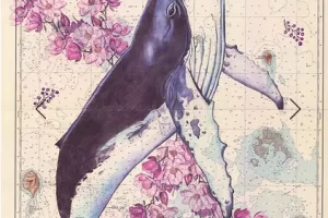 Cartes marines - Saison Ah ?