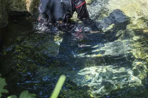 Célé'té en vallée du Célé à Corn: "Célé eaux souterraines", les belles résurgences du Célé livrent petit à petit leurs secrets.