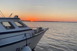 Croisières du 14 juillet