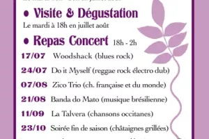 Concert repas "Zico Trio"