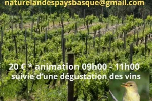 Visite thématique guidée et dégustation vins