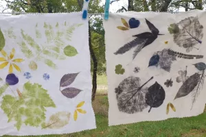 Atelier Végétal Créatif avec M.A Nature : Tatakizomé
