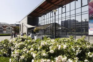 Semaine festive : portes ouvertes du conservatoire