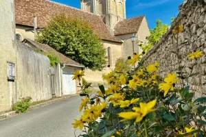 Église Accueillante à Angles-sur-l'Anglin