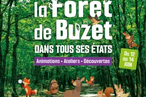 LA FORET DE BUZET DANS TOUS SES ETATS