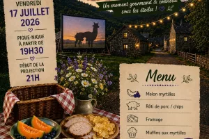Paniers Pique-Nique et Cinéma