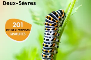 Sortie nature : Découverte de la flore de l'étand des forges